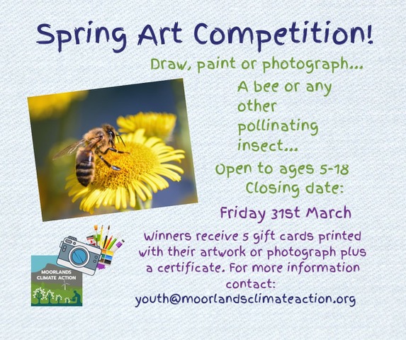 Spring Art Competition Facebook Post Landscape 1